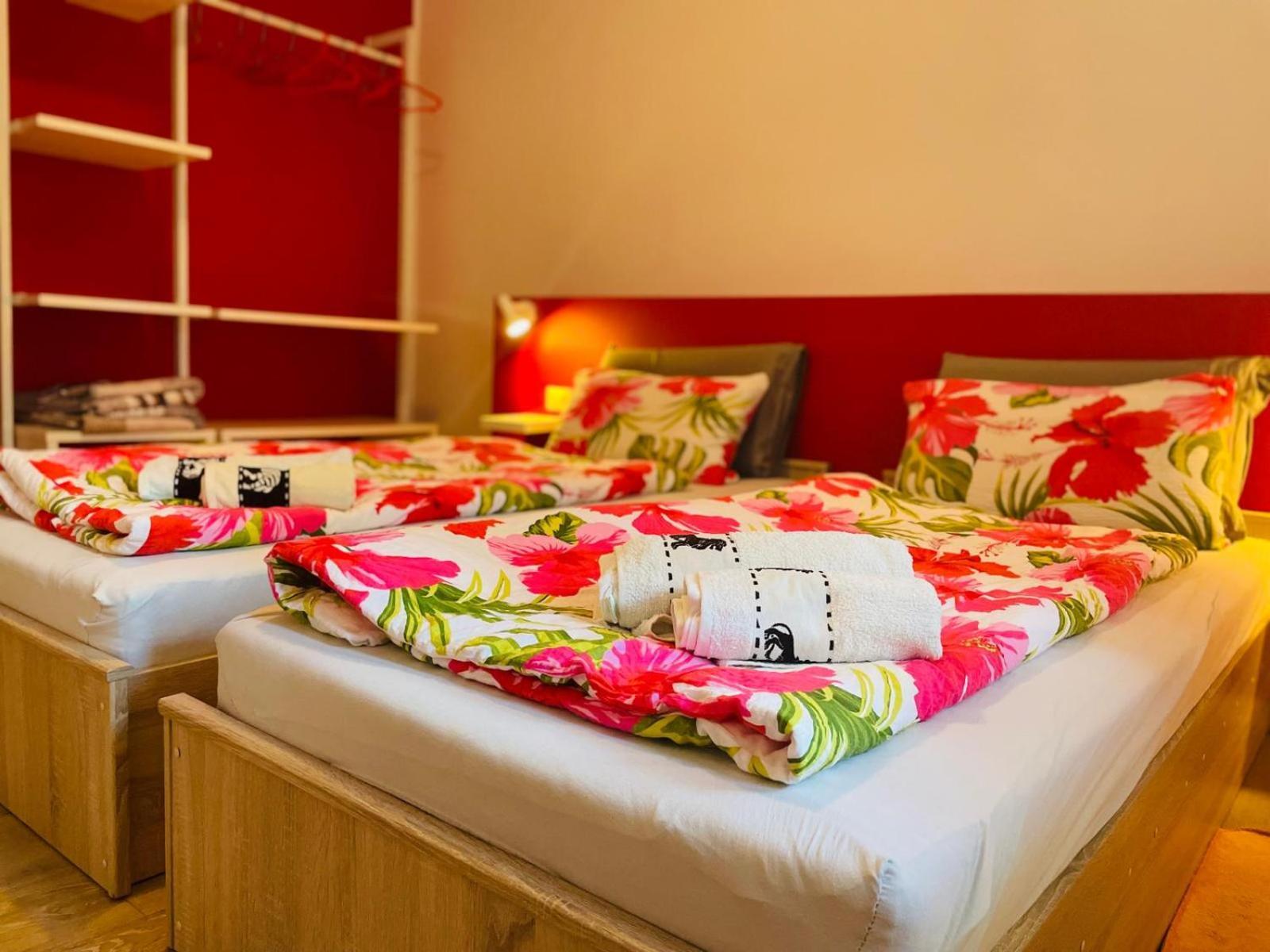 Boutique Apartment With Private Pool For Your Exclusive Use Novigrad Istria Εξωτερικό φωτογραφία